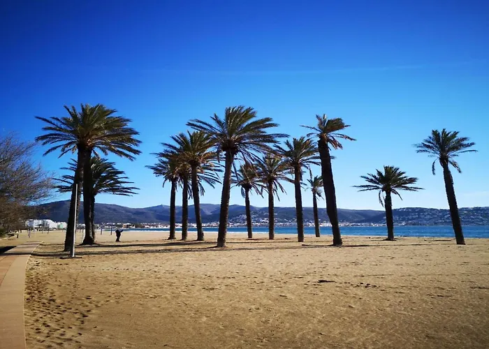 In Near Playa De Daire *